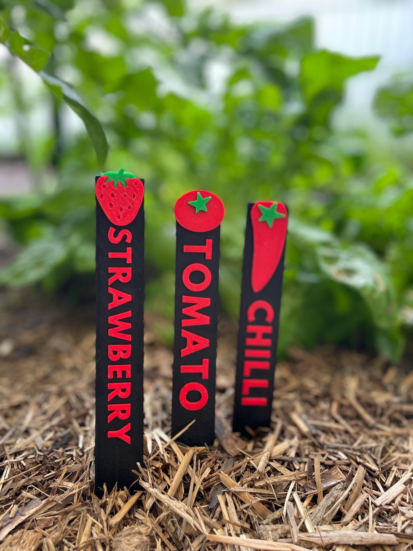 Personalized Garden Markers | Herb & Vegetable Identification Sticks
