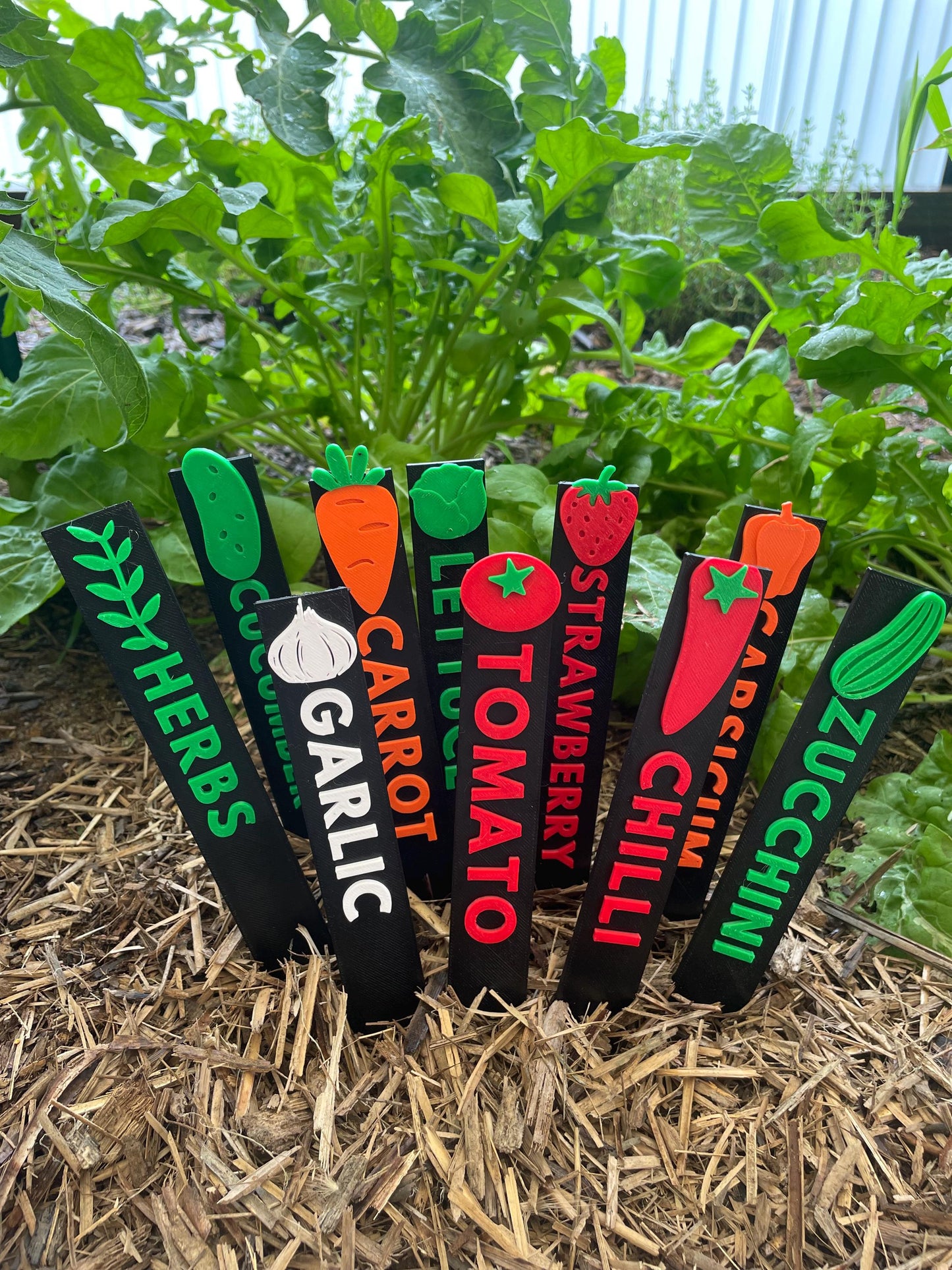 Personalized Garden Markers | Herb & Vegetable Identification Sticks